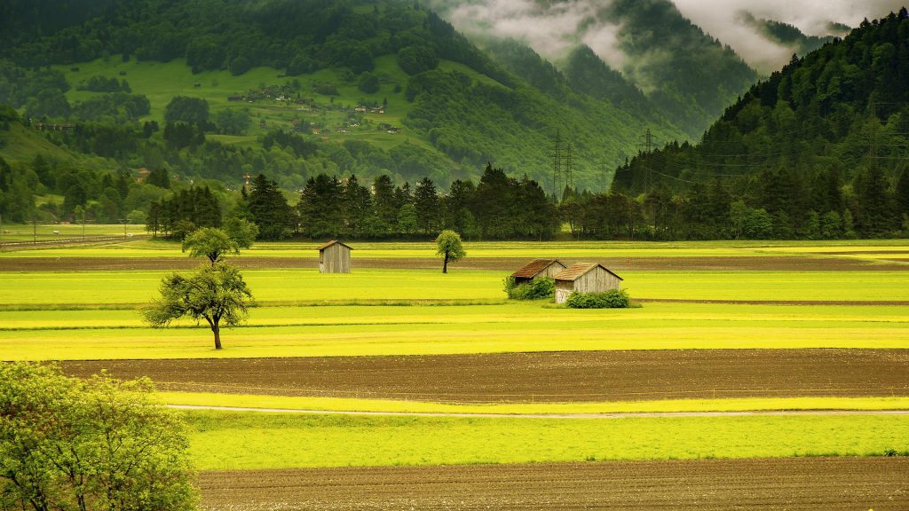 Prairie