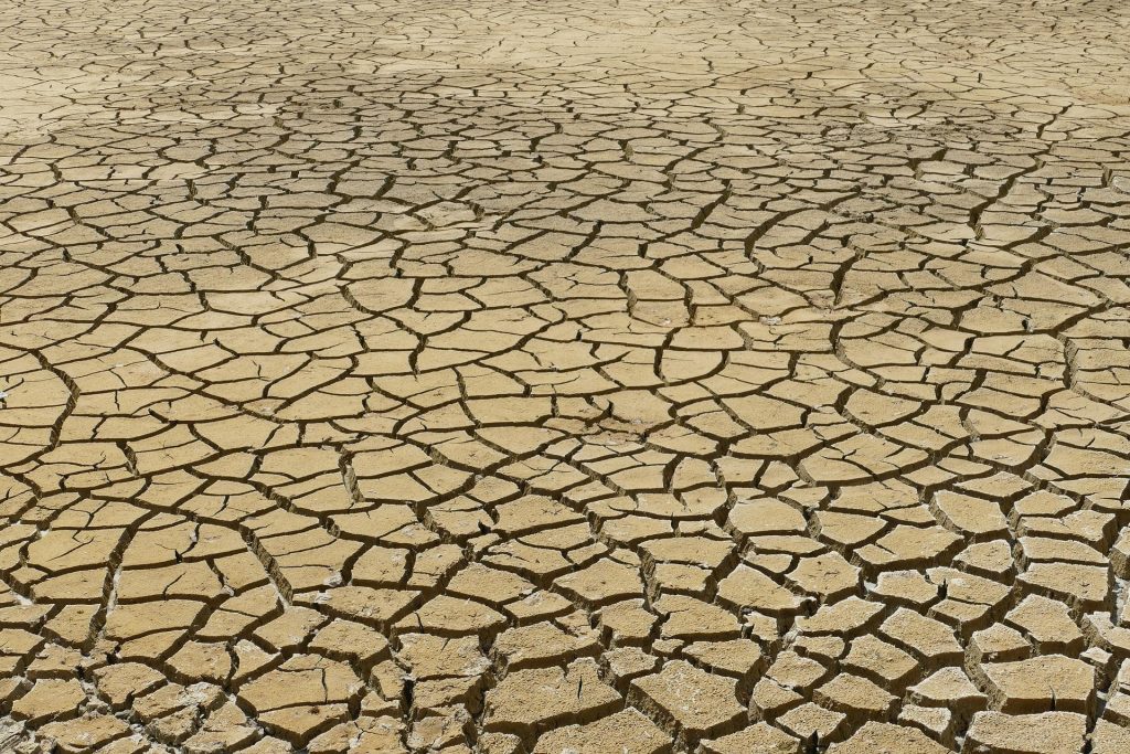Sol fissuré par la sécheresse
